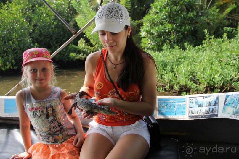 Путешествие в сказку