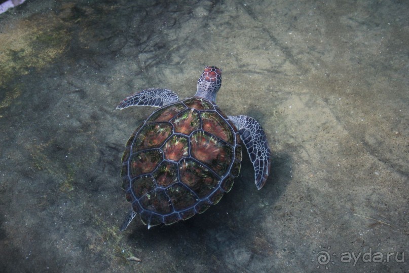 Путешествие в сказку