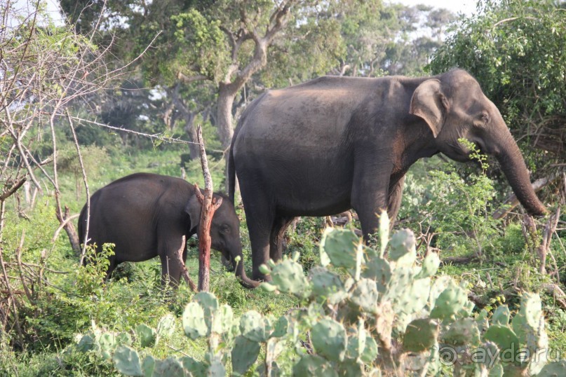 Путешествие в сказку