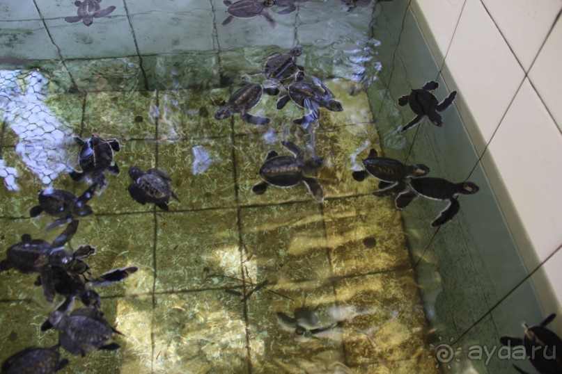 Путешествие в сказку