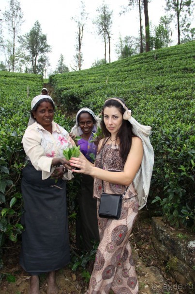 Путешествие в сказку