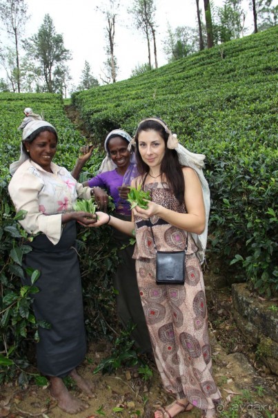 Путешествие в сказку