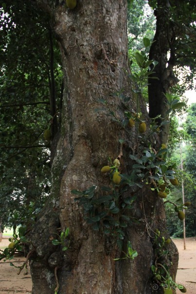 Путешествие в сказку