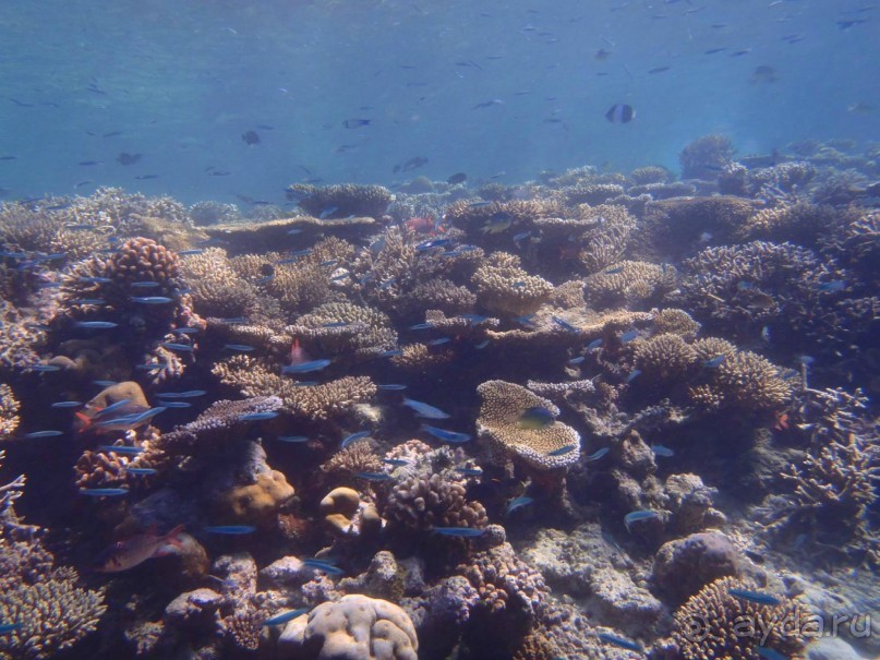 фото Lily Beach Resort & Spa