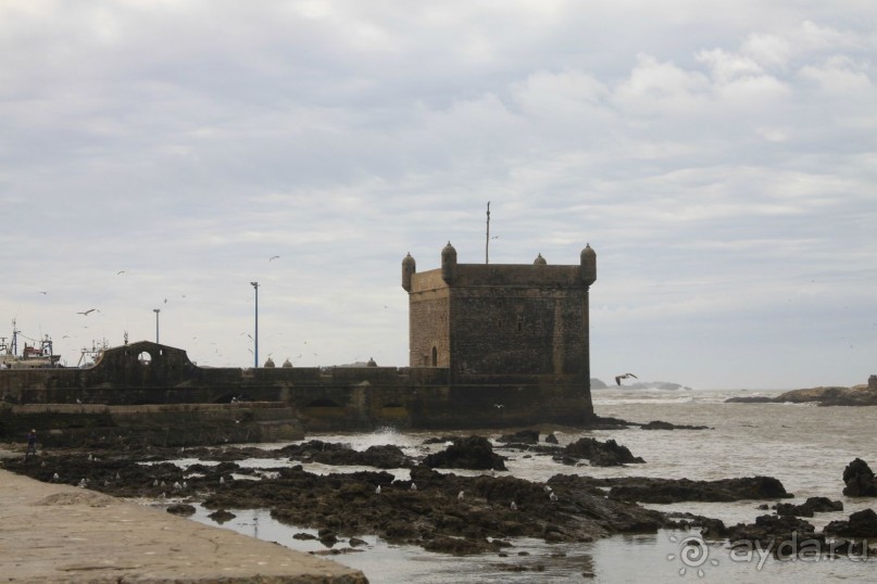 Марокко - начало африканских хроник