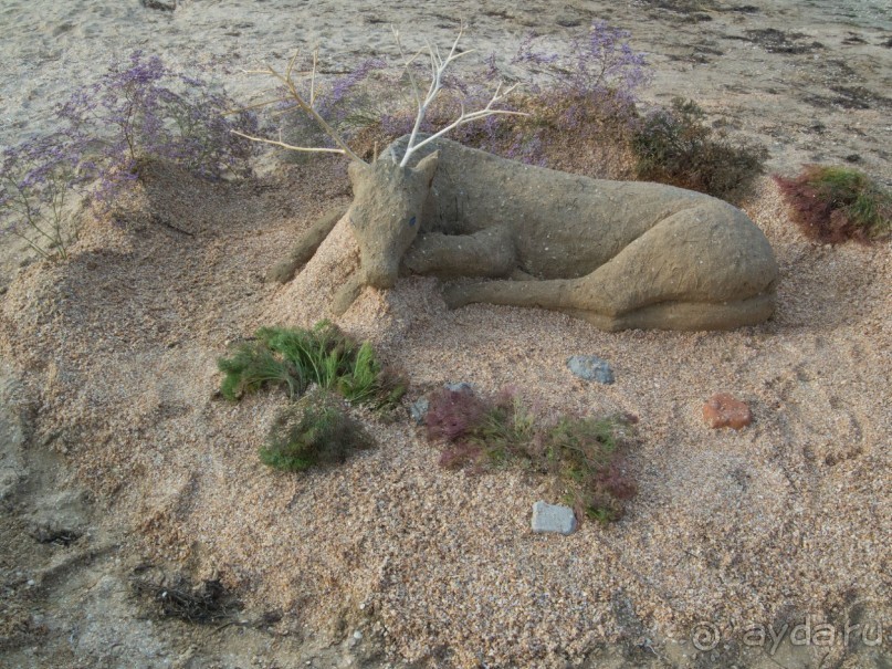 Солнечные дни на фоне соли