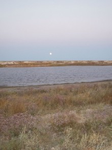 Солнечные дни на фоне соли