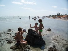 Солнечные дни на фоне соли