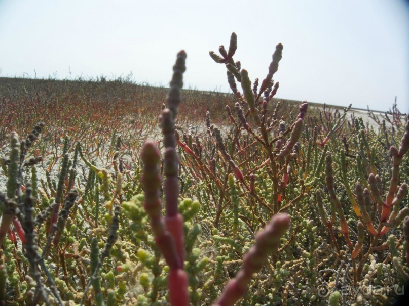 Солнечные дни на фоне соли