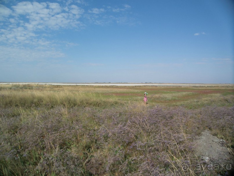 Солнечные дни на фоне соли