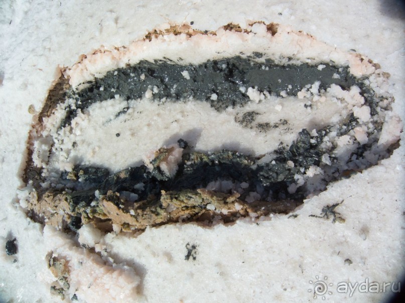 Солнечные дни на фоне соли