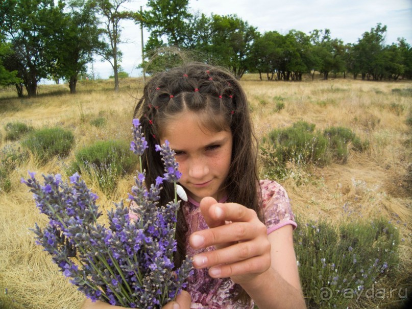 Мокроусов был гений