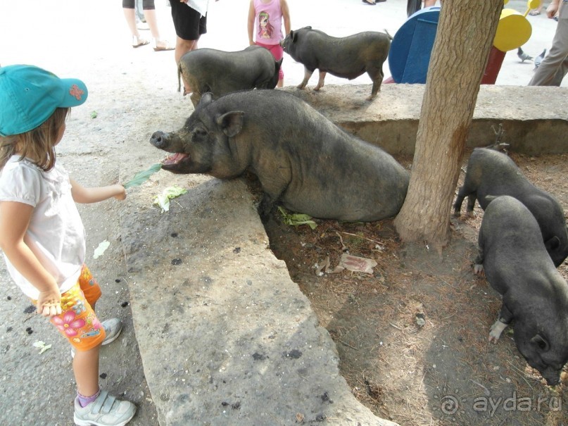 Мокроусов был гений