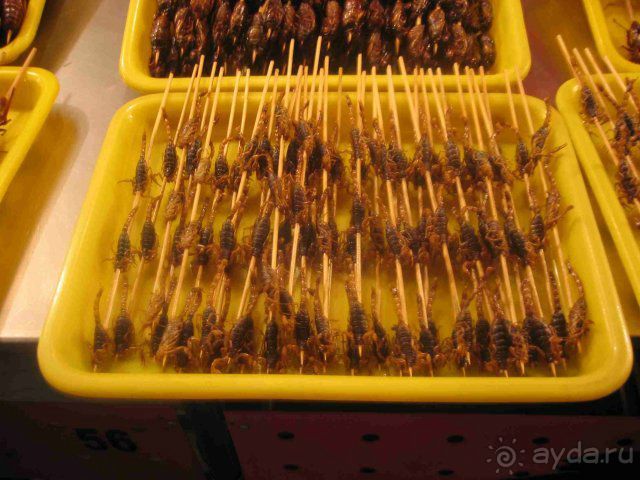 Отзыв про полёт в Китай за мебелью к Дому «Гранату»