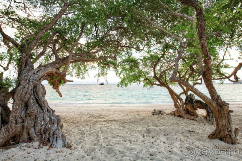 ТАИЛАНД: Секретные материалы из Рая