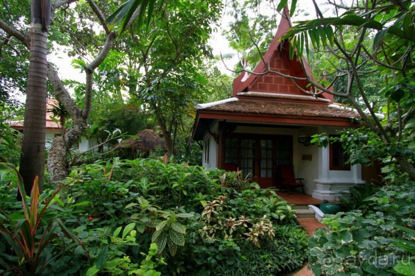 ТАИЛАНД: Секретные материалы из Рая