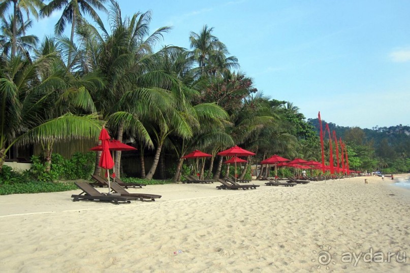 ТАИЛАНД: Секретные материалы из Рая