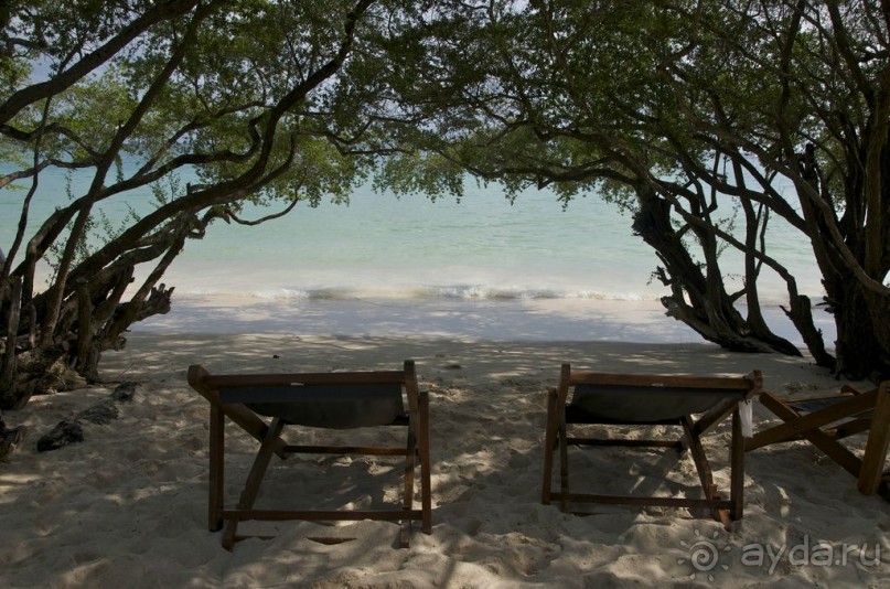 ТАИЛАНД: Секретные материалы из Рая