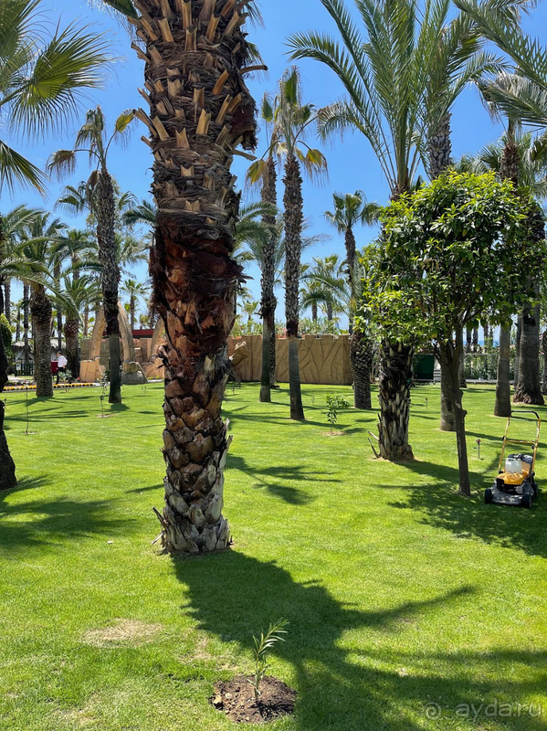 Отличный отдых в самом заботливом отеле!