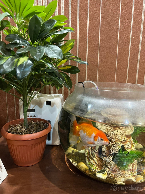 По дороге на Алтай