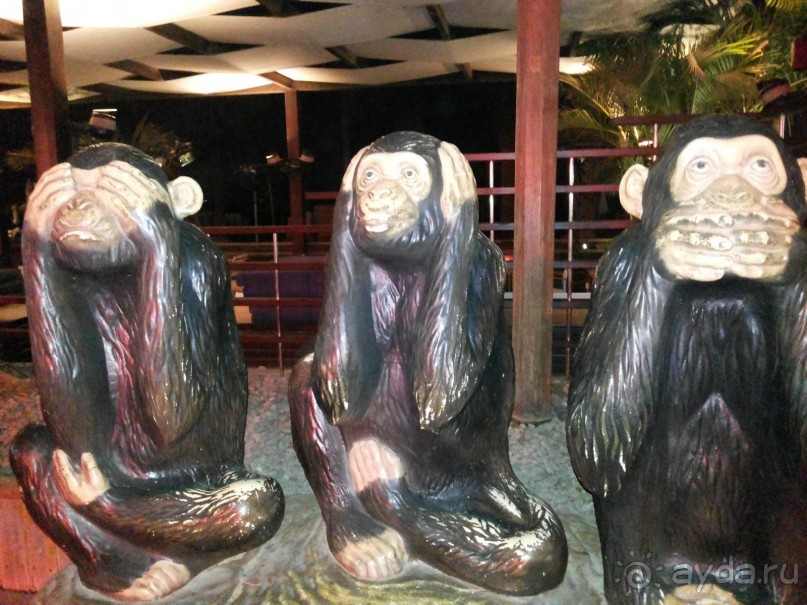 Зимой - отдых "для тех, кому за..."