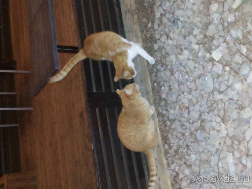 Зимой - отдых "для тех, кому за..."