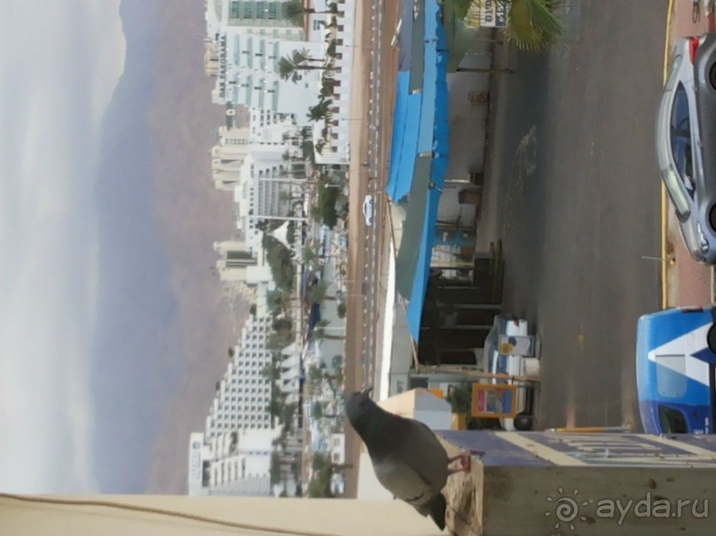 Без изысков, но неплохо.