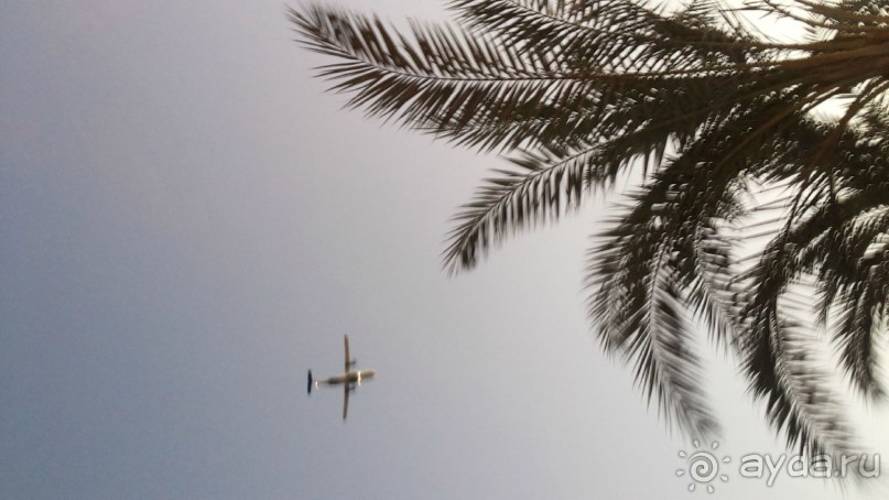 Без изысков, но неплохо.