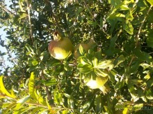 Для двух звёзд - отлично