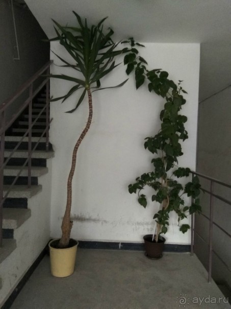 Отличное место для бюджетного отдыха