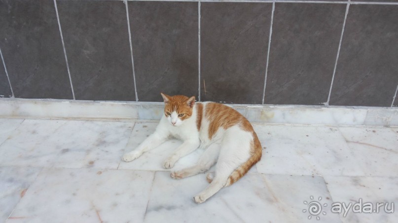 Лучше выбрать что-нибудь другое