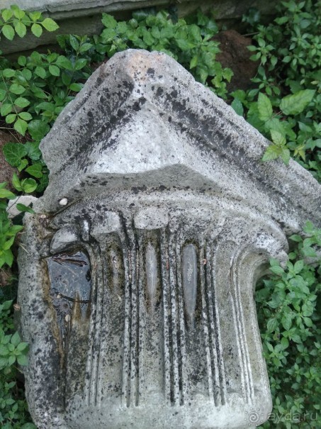 фото Албены