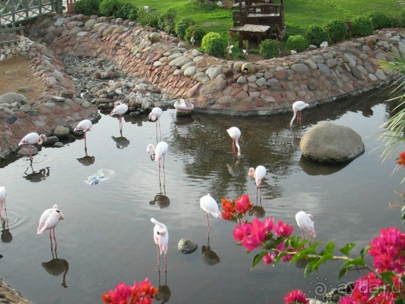 Добротная, слегка запущенная четвёрка