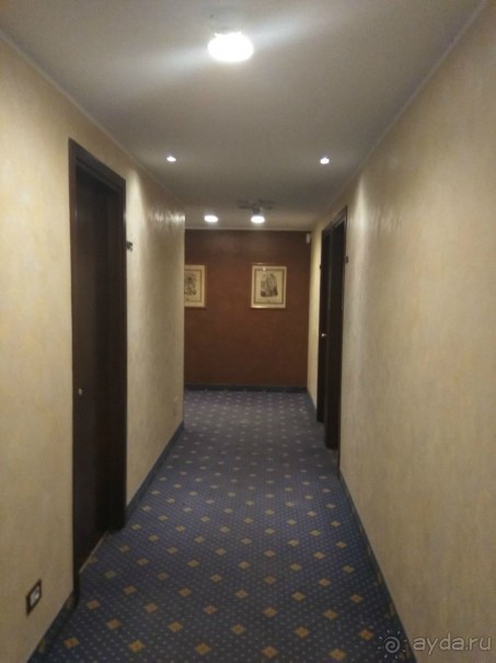 прекрасное соотношение цена-качество