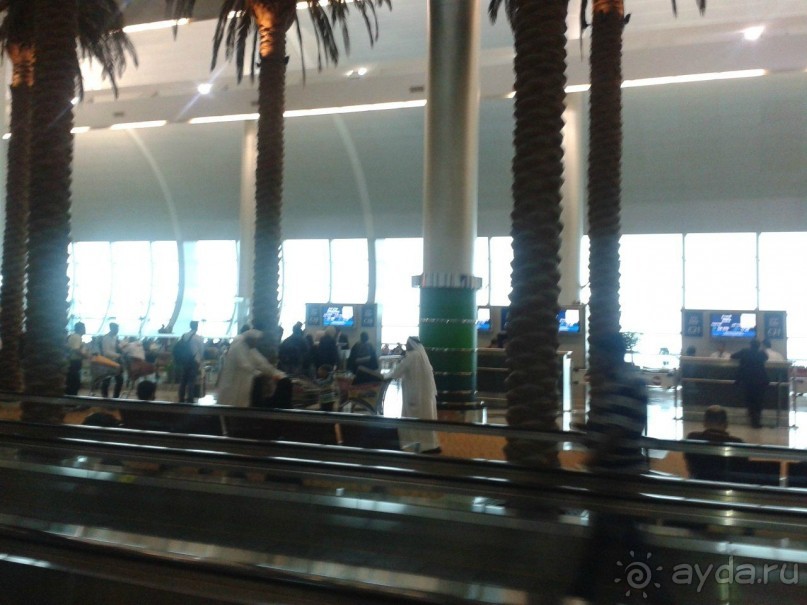 Волшебные Эмираты