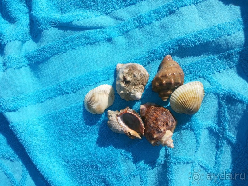 Внешность обманчива