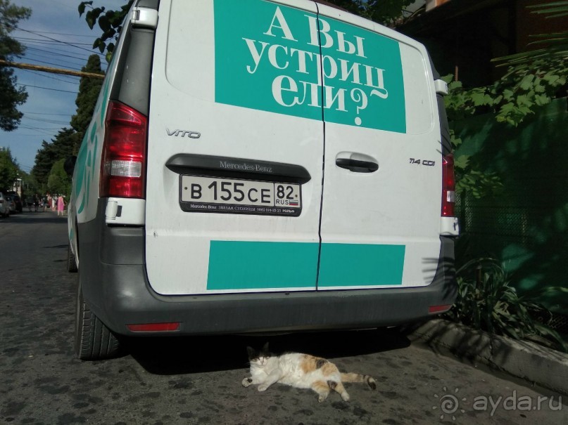 А в Сочи ехать можно)