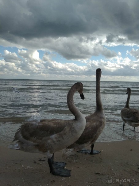 пансионат "Акватория"