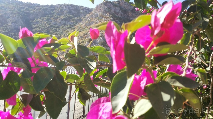 Миры Ликийские, церковь Николая Чудотворца