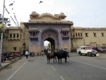 Моё первое знакомство с Индией.