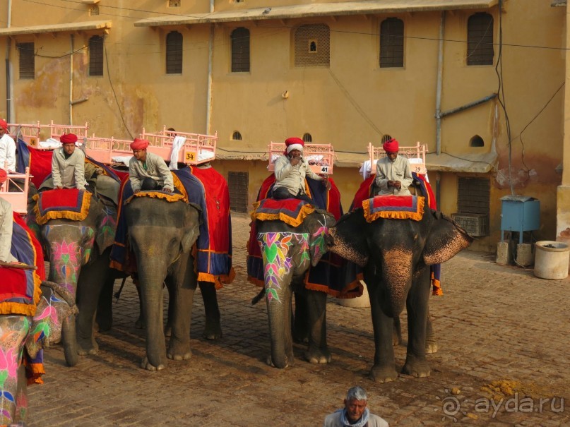 Моё первое знакомство с Индией.