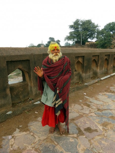 Моё первое знакомство с Индией.