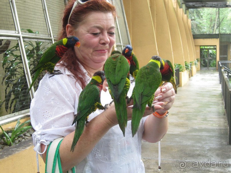 В Малайзию и Сингапур с Индиго Тур