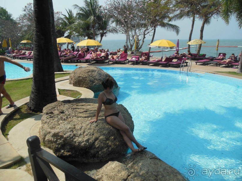 райский сад