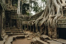 Маршруты по храмам Ангкора (1-7 дней) – готовые варианты, схемы, фото, рекомендации