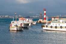 Альбом отзыва "Тартус, замки Салах ад-Дина и Маркаб"