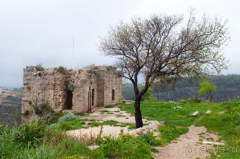 Тартус, замки Салах ад-Дина и Маркаб