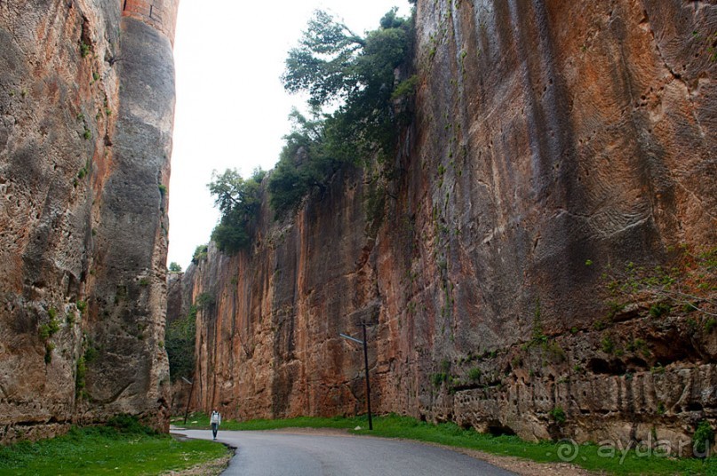 Тартус, замки Салах ад-Дина и Маркаб