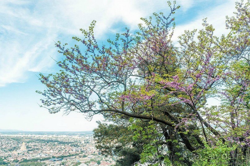 Достопримечательности примечательного города Тбилиси