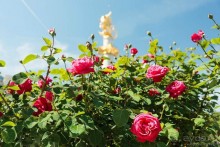 Достопримечательности примечательного города Тбилиси